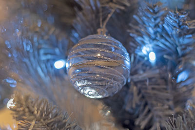 Low angle view of illuminated christmas lights hanging on tree