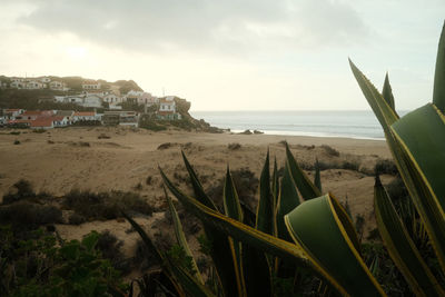 Scenic view of beach against sky