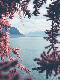 Scenic view of sea and mountains against sky