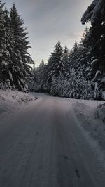 winter