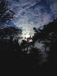 Low angle view of trees against sky