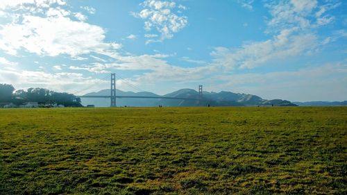 Scenic view of field against sky