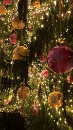 Close-up of illuminated christmas tree