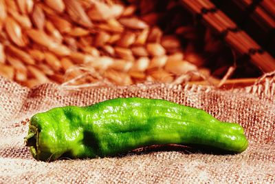 Close up of green plant