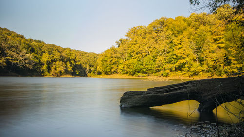 Scenic view of lake by trees against sky
