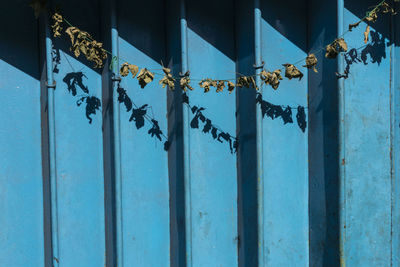 Close-up of closed metal door of building