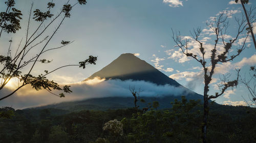 Scenic view of trees and mountains against sky during sunset