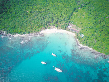 High angle view of people swimming in sea