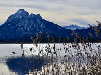Scenic view of lake by snowcapped mountains against sky