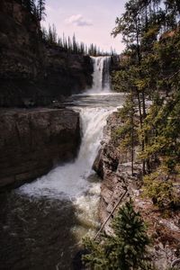 Scenic view of waterfall in forest
