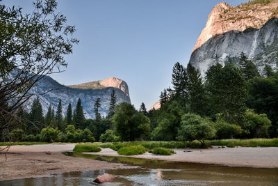 Scenic view of river amidst trees against clear sky - yosemite national park