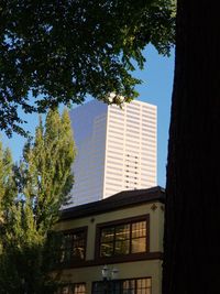 Low angle view of tree and building against sky
