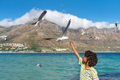 Seagulls flying over sea