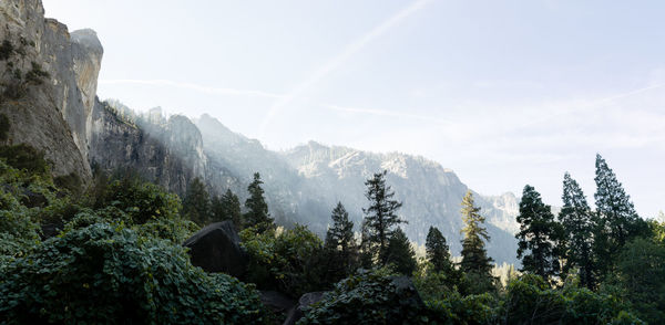 Panoramic view of trees and rocks against sky