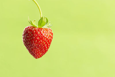 Close-up of strawberry