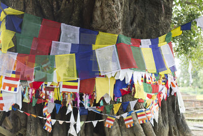 Close-up of multi colored paper hanging on tree