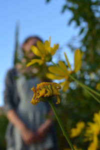 Close-up of flower