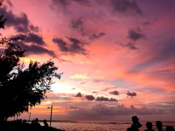 Silhouette tree on beach against sky during sunset