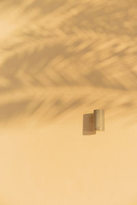 Shadows from palm trees on the light walls of a building with a lamp. sunny day, travel lifestyle.