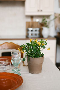 Indoor flowers in a yellow clay pot in the interior of the kitchen house