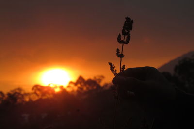 Silhouette hand holding orange sky during sunset