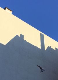 Low angle view of birds flying against clear sky