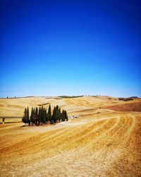Scenic view of agricultural field against clear blue sky