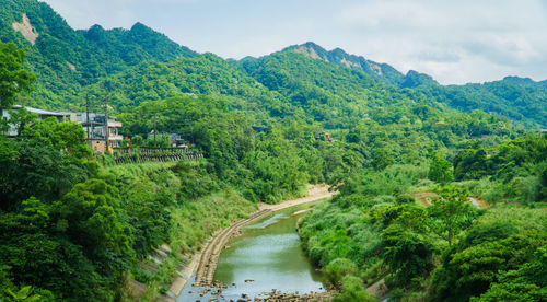 Scenic view of river amidst trees against sky