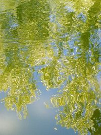 High angle view of water floating on lake