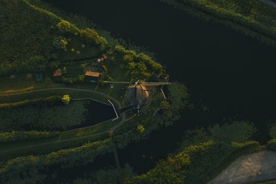 High angle view of road amidst trees