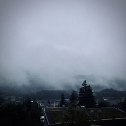 Trees and buildings against sky during foggy weather