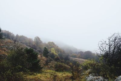 Scenic view of landscape against sky