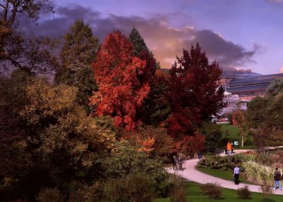 Trees in park against sky during autumn
