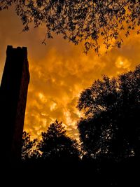 Low angle view of silhouette trees against sky during sunset