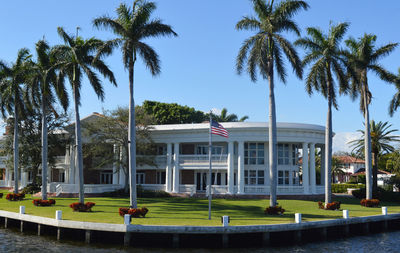 Palm trees by swimming pool against buildings