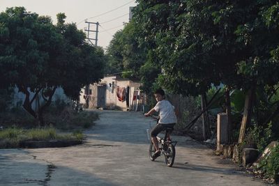 Child riding bicycle on country road
