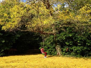 Girl playing on tree