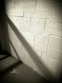 Shadow of tree on the wall