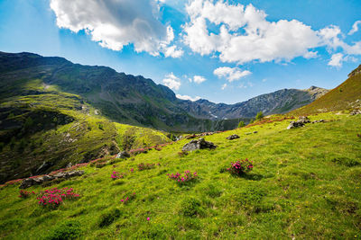 Scenic view of landscape against sky