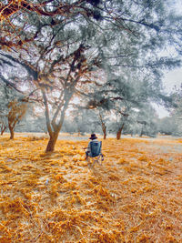 Rear view of woman walking on field