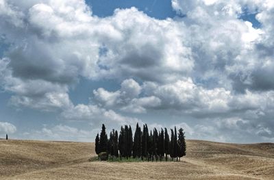 Hay bales on field against cloudy sky