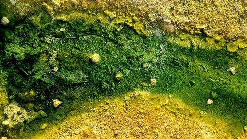 Full frame shot of yellow leaf floating on water