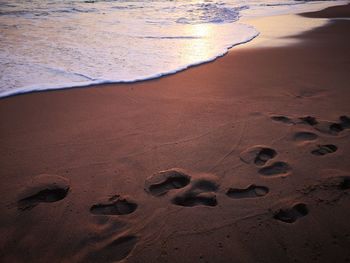 High angle view of footprints on sand at beach