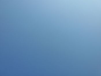 Close-up of tree against blue sky
