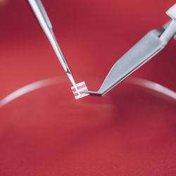 High angle view of red umbrella