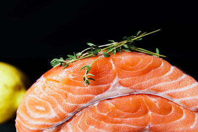 Close-up of sushi against black background