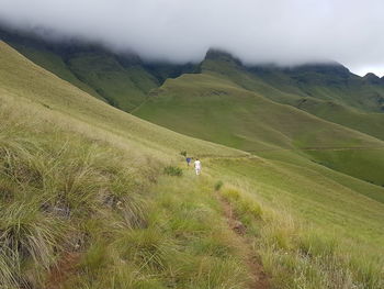 Scenic view of green landscape against sky