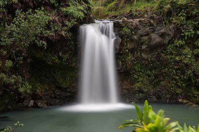 Scenic view of waterfall in forest