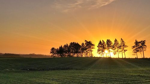 Silhouette trees on field against sky during sunset