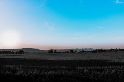 Scenic view of field against sky during sunset